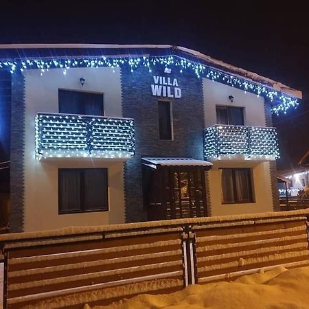 Villa Wild Petroşani Buitenkant foto